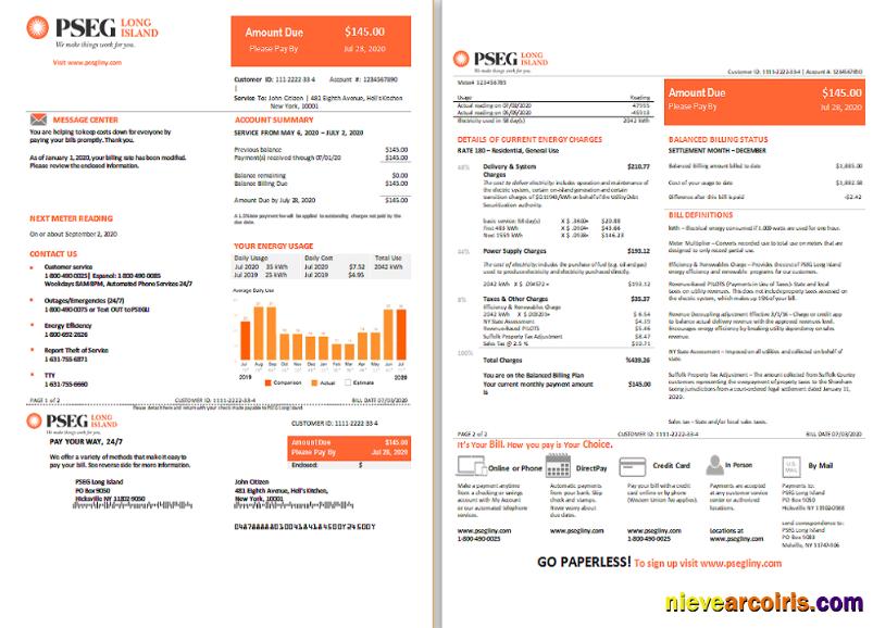 USA Long Island PSEG electricity